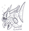 Southern clawfish.jpg
